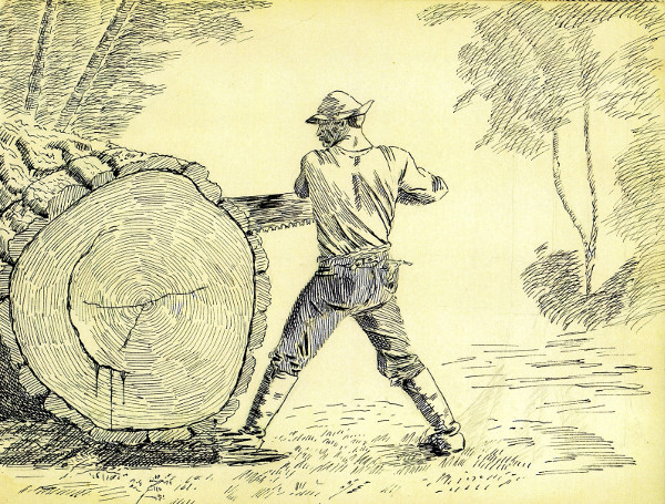 Sketch of logger sawing through five foot log